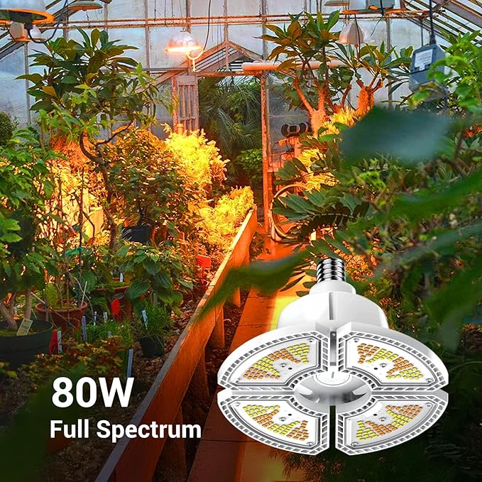 RDJ Bouns 80W Dimmable Grow Light Bulb with Remote Control, Full Spectrum Plant Bulb with 4/8/12H Timer, E26 Base LED Grow Lamp for Large Indoor Plants, Monstera, Fiddle Leaf Fig