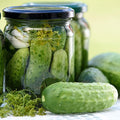 Cucumber Seeds - Homemade Pickles - 1 Lb ~15,200 Seeds - Cucumis sativus - Farm & Garden Vegetable Seeds - Non-GMO, Heirloom, Open Pollinated, Annual