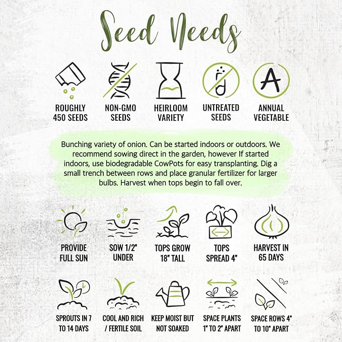 Seed Needs Onion Seeds for Planting Tokyo White Bunching Long Day Onions - Non-GMO Heirloom & Untreated Vegetable Seeds to Plant an Outdoor Home Grown Veggie Garden (2 Packs)