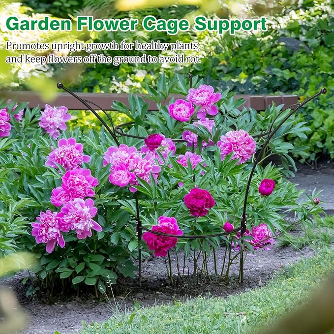 4 Pack Peony Cages and Supports Cages 13" D x 22.8" H Heavy Duty Metal Support Frame for Peonies & Roses Natural Bouquet Shape Garden Stakes for Outdoor Plants Flowers Ornamental (Black)