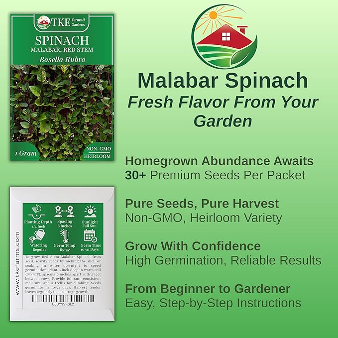 TKE Farms & Gardens - Red Malabar Spinach Seeds for Planting, Heirloom Non-GMO Climbing Spinach, Nutritious Asian Vegetable Seeds, 30 Seeds, Basella rubra, 1 Packet