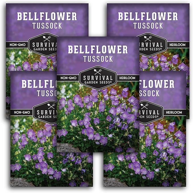 Survival Garden Seeds Tussock Bellflower Seed for Planting - 5 Packets with Instructions to Plant and Grow Campanula carpatica in Your Home Flower Garden - Non-GMO Heirloom