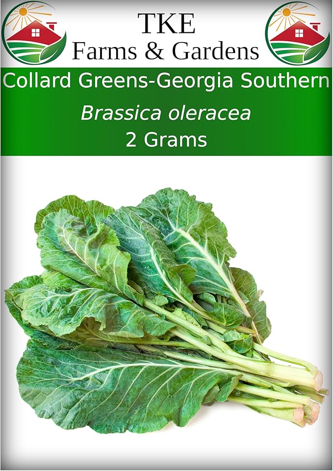 TKE Farms & Gardens - Georgia Southern Collard Green Seeds for Planting, 2 Grams, 225 Seeds, Non-GMO, Heirloom, Perfect Winter & Fall Vegetable Seeds, Includes Instructions, Brassica oleracea