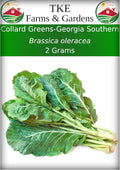 TKE Farms & Gardens - Georgia Southern Collard Green Seeds for Planting, 2 Grams, 225 Seeds, Non-GMO, Heirloom, Perfect Winter & Fall Vegetable Seeds, Includes Instructions, Brassica oleracea