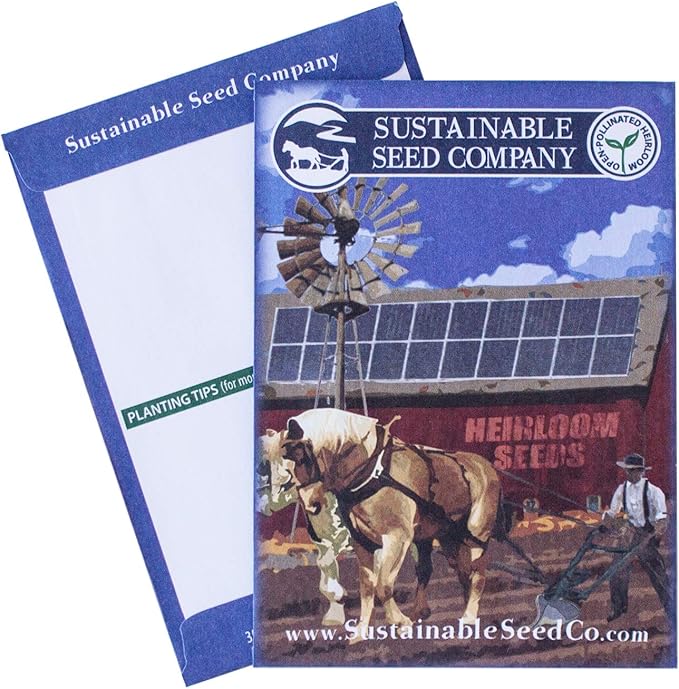 Spring Raab Rapini Broccoli - 1 g ~300 Seeds - Heirloom, Open Pollinated, Non-GMO, Farm & Vegetable Gardening & Micro Greens Seeds - AKA: Asparago