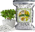 Organic Chunky Perlite for Plants (0.4"-0.8" in Diameter), Natural Horticultural Soil Additive Conditioner Mix, Improve Drainage and Ventilation, Enhance Soil Health and Root Growth (1 Quart)