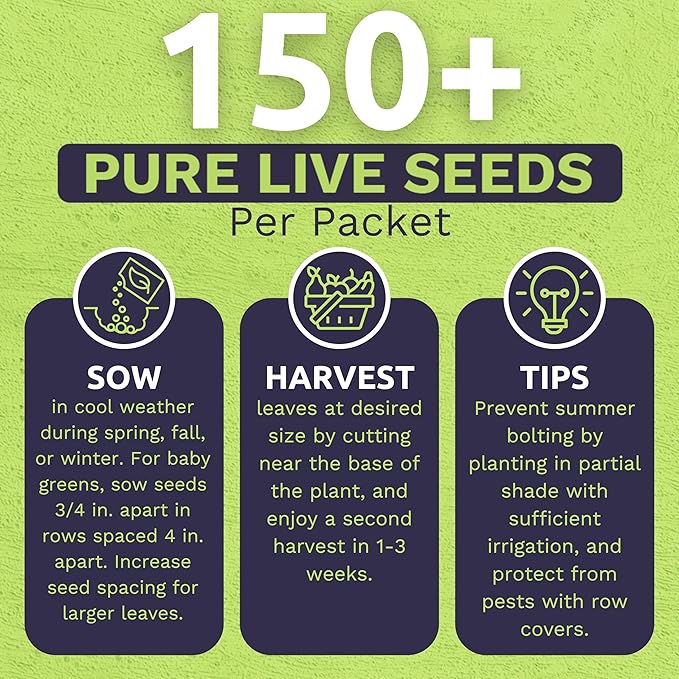 Organic Spinach Bloomsdale Heirloom Seeds - 2 Seed Packets! - Over 300 Open Pollinated Non-GMO USDA Organic Seeds