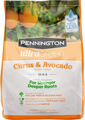Pennington 100525941 UltraGreen Citrus & Avocado 10-5-5 Plant Food, 5 lb