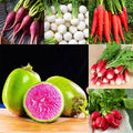 Mixrug 7 Types Radish Seeds Pack for Planting, 840pcs Non-GMO Heirloom Radish Vegetable Seeds, Vegetables Plants Home Fresh Food Garden for Outdoors Indoors