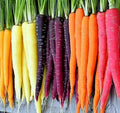Rainbow Carrot Seeds for Planting Heirloom Non GMO Packets 750 Seeds – Plant & Grow Rainbow Carrots in Home Outdoor Garden, Great Gardening Gift – 2 Packets