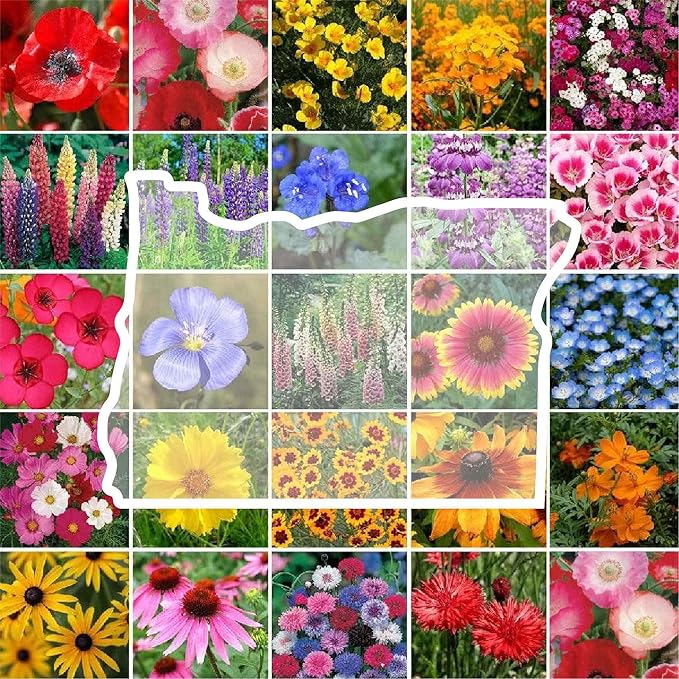 Eden Brothers Oregon Wildflower Mixed Seeds for Planting, 1 oz, 30,000+ Seeds with Bluebell, Cornflower | Attracts Pollinators, Plant in Spring or Fall, Zones