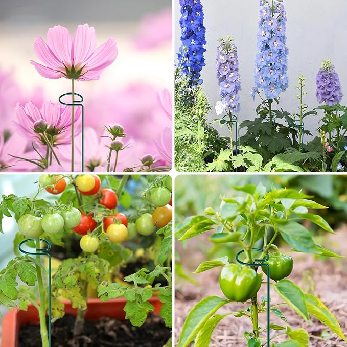 FEED GARDEN 24 Inch 12 Pack Plant Support Stakes, Metal Garden Flower Stakes and Supports for Outdoor Plants, Plant Stem Support with 24 Twist Ties for Amaryllis Lily Rose Peony Tomatoes Gladiolus