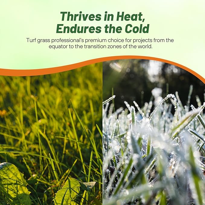 Outsidepride Yukon Bermuda Grass Seed - 1 lbs Cold & High Traffic Tolerant, Premium Hybrid Bermuda Turf Grass Seeds for Lawn, Ideal Low Maintenance Seed Grass for Colder & Challenging Area