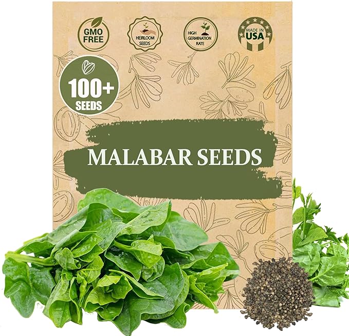 Premium Malabar Spinach Seeds - 100 Heirloom, Non-GMO Seeds for Planting – Easy-to-Grow Climbing Vegetable, Fast Growing Summer Green for Garden or Patio