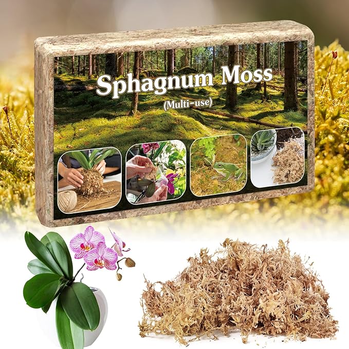 Sphagnum Moss,Sphagnum Moss for Plants,6 QT Natural Long Fibered Sphagnum Peat Moss,Premium Dried Orchid Moss for Orchids Succulents Carnivorous Potted Plant Gardening & Reptiles
