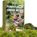 ZeeDix 2.2 lbs Forest Moss for Plants Indoor - Dried Orchid Moss for Repotting, Natural Green Sphagnum Moss for Potted Plants Carnivorous Monstera Succulents Crafts Reptile Habitat (Expands to 40 qt)