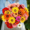 Eden Brothers Zinnia Seeds - Super Cactus Giant Mix, Non-GMO Seeds for Planting, 1 oz | Low-Maintenance Flower Seeds, Plant During Spring, Zones 3, 4, 5, 6, 7, 8, 9, 10