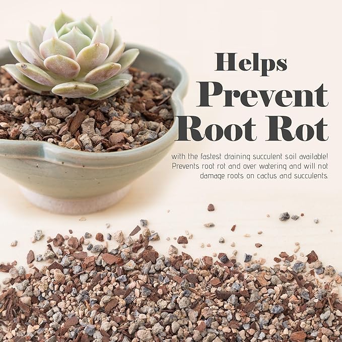 Bonsai Jack Succulent, Cactus and Bonsai Soil - Jacks Gritty Mix - 2 Quarts – Fast Draining – Fight Root Rot – Optimized pH