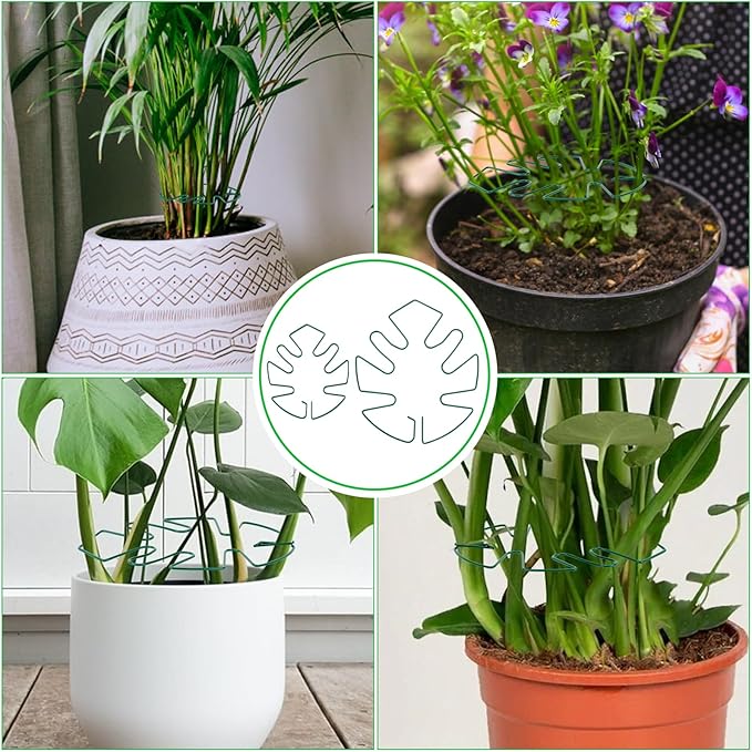 Hysagtek 6PCS Monstera Plant Support, Plant Stem Support Durable Monstera Stabilizer Grapple Holder, Turtle Shell Bamboo Clamp Set, Ideal Plant Support for Thriving Growth