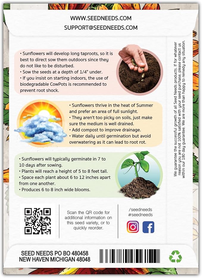 Seed Needs Velvet Queen Sunflower Seeds for Planting Red-Orange Flowers - Heirloom & Open Pollinated Flower Seed to Plant an Outdoor Butterfly Garden (1 Pack)