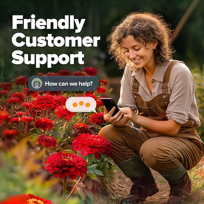 HOME GROWN Will Rogers Zinnia Seeds - 300 Zinnia Flower Seeds for Planting Outdoors - Tall Zinnia Elegans Cut Flowers - Heirloom Non-GMO Zinnia Seeds for 2026 (Zinnia Elegans)