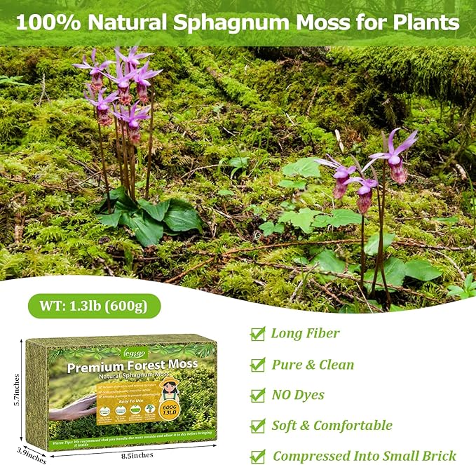 Legigo 1.3LBS Sphagnum Moss for Plants, 25QT Natural Orchid Moss Potting Mix Dired, Green Forest Plant Moss for Orchid Repotting Carnivorous Succulents Indoor Potted Plants Gardening and Reptiles