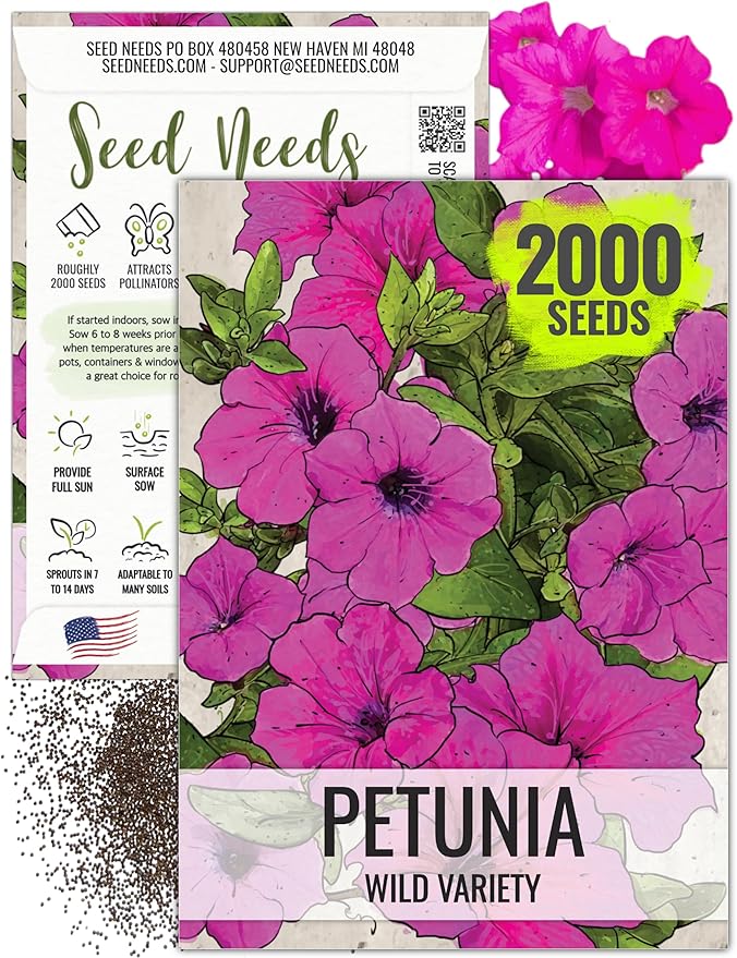 Seed Needs, Wild Petunia Seeds - 2,000 Heirloom Seeds for Planting Petunia violacea - Annual Flowers, Perfect for Beds, Borders, Pots & Containers (1 Pack)