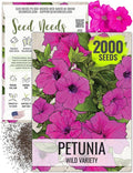 Seed Needs, Wild Petunia Seeds - 2,000 Heirloom Seeds for Planting Petunia violacea - Annual Flowers, Perfect for Beds, Borders, Pots & Containers (1 Pack)