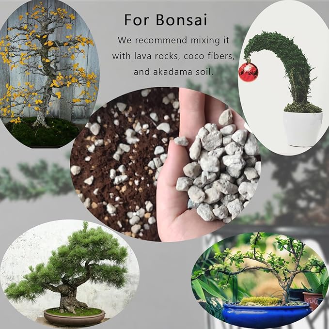 Horticultural Pumice for Plants 10QT, Natural Organic Pumice Stones for Succulent Cactus Bonsai Tree Orchid Potting Mixed, Improves Soil Aeration and Drainage, Promotes Root
