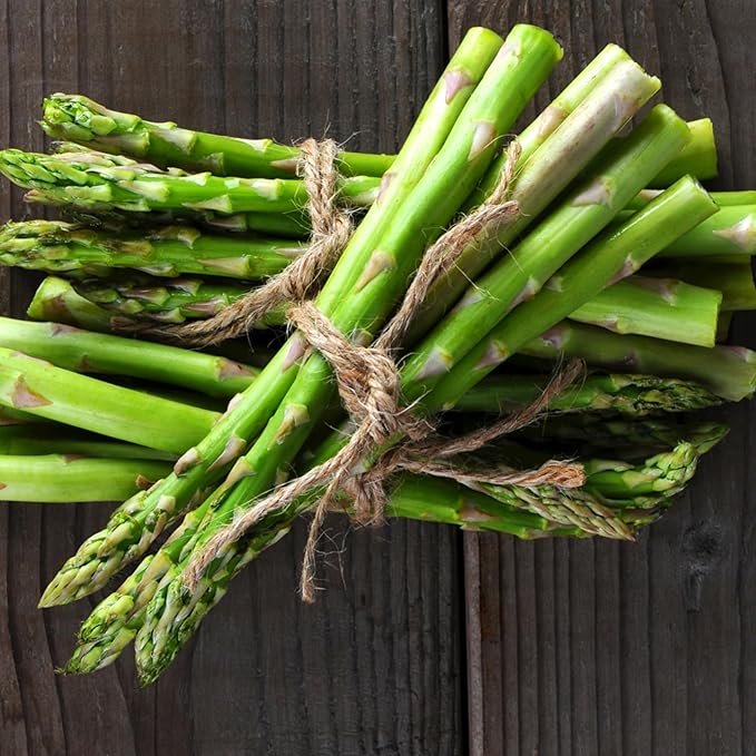 Seed Needs Vegetable Seeds for Planting Mary Washington Asparagus - Non-GMO Heirloom & Untreated Perennial Asparagus Seed to Plant an Outdoor Home Grown Garden (2 Packs)