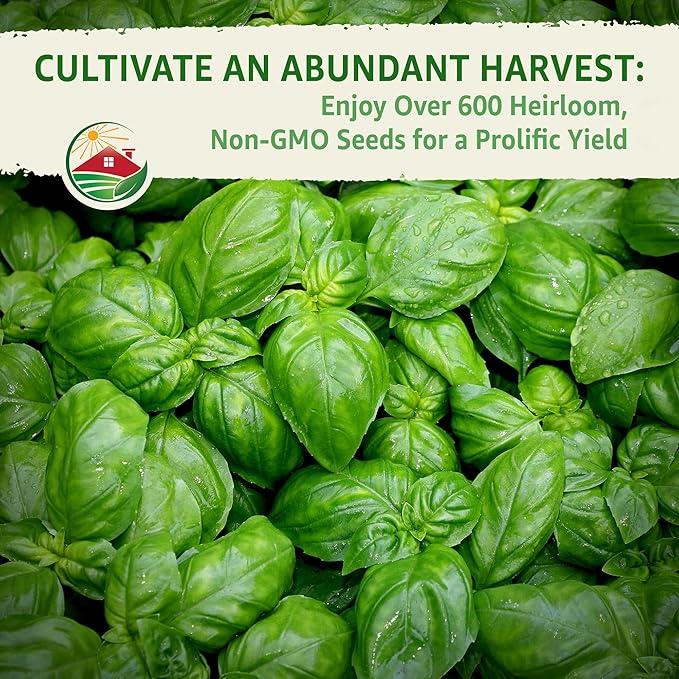 TKE Farms & Gardens - Genovese Basil Seeds for Planting, 600+ Heirloom Non-GMO Italian Basil Seeds, Sweet Culinary Herb, Grow Indoors or Outdoors, Delicious Basil Plants, Instructions Included