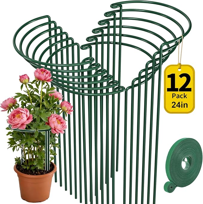 AMAGABELI GARDEN & HOME 12 Pack Plant Support Stakes 10" W x 24" H Heavy Duty Half Round Peony Cage Metal Garden Support Structures Plant Cage with Ties for Indoor Flower Tomato Hydrangea Monstera