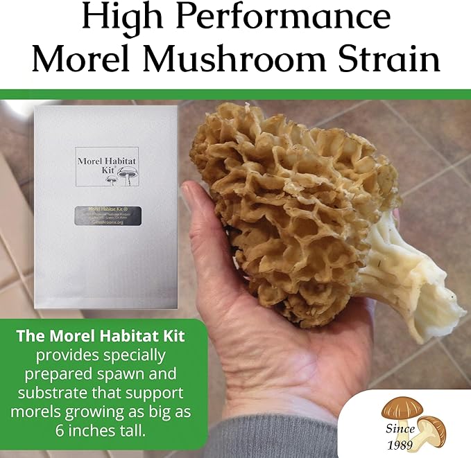 MOREL HABITAT KIT® Morel Mushroom Growing Kit (Morchella), Compatible with Any Soil Type Across The U.S., Outdoor Garden & Backyard Cultivation Set with Full Instructions - Made in The USA
