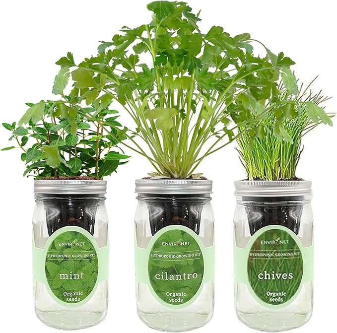 Hydroponic Herb Growing Kit Set, Self-Watering Mason Jar Herb Garden Starter Kit Indoor, New Christmas Gift for Mom (Cilantro, Mint & Chives)