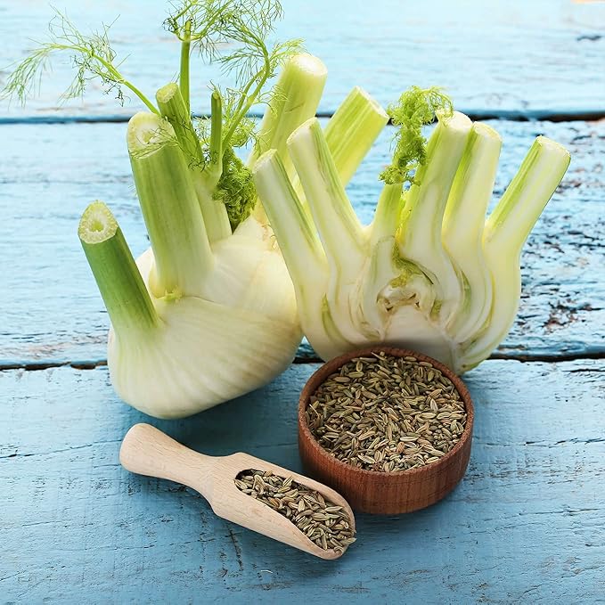 Eden Brothers Fennel Seeds - Florence