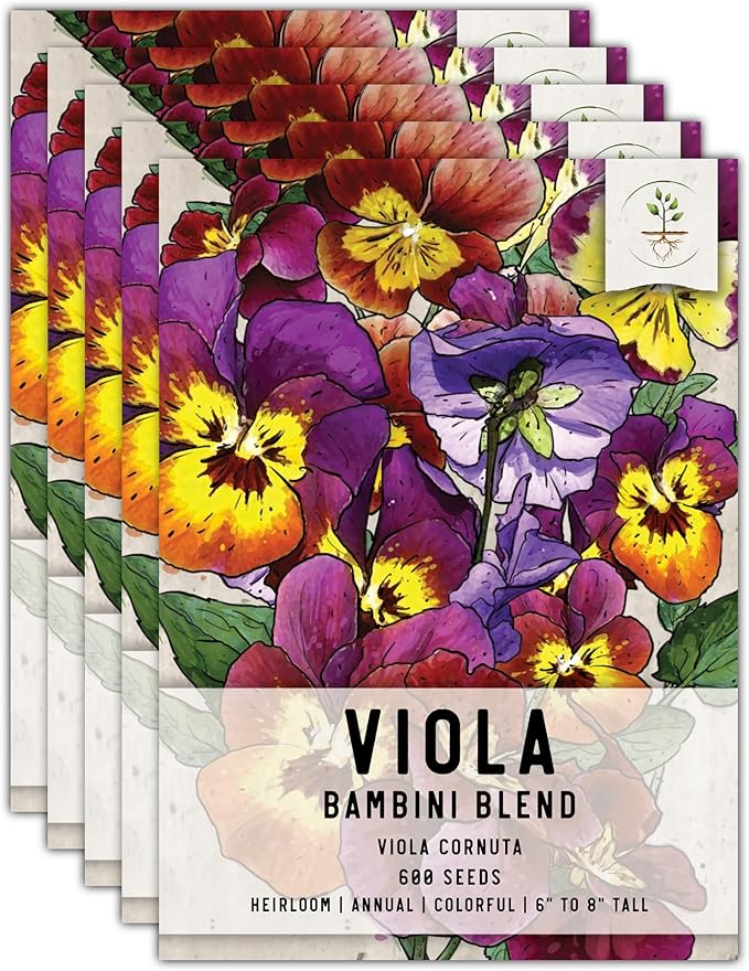 Seed Needs Viola Seeds for Planting Bambini Violas - Heirloom & Open Pollinated Annual Flowers to Plant and Grow an Outdoor Wildflower Butterfly Garden to Attract Pollinators (5 Packs)