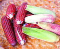 Red Corn Seeds for Planting - Bloody Butcher Indian Corn - Grown in Iowa - Stunning Color (25 Seeds)
