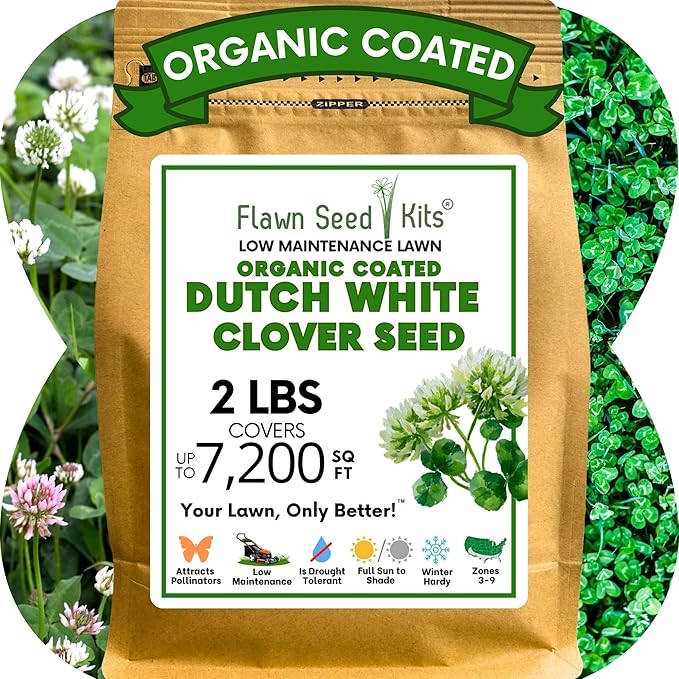 Flawn Seed White Dutch Clover Seeds, 2 Lbs, Organic Coated, Natural Lawn, Ground Cover, Food Plot, Zones 3-9, Covers up to 7,200 Sqft