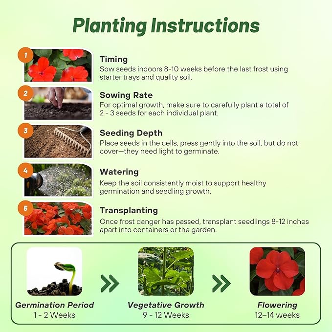 Outsidepride Beacon Red Bright Impatiens Flower Seeds - 75 Pcs Annual, Compact & Pollinator Friendly, Impatiens Seeds for Planting w/Vibrant, Abundant Blooms for Shade Gardens & Container Displays