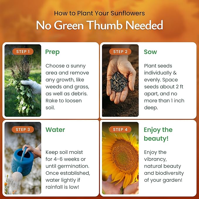 Created By Nature Sunflower Seeds to Plant, 9-Variety Sunflower Seed Mix, 1,000 Seeds