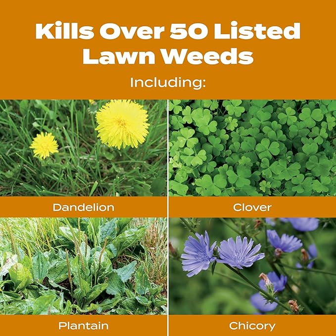 Scotts Turf Builder WinterGuard Fall Weed & Feed3, Weed Killer Plus Fall Fertilizer, 4,000 sq. ft., 11.43 lbs.
