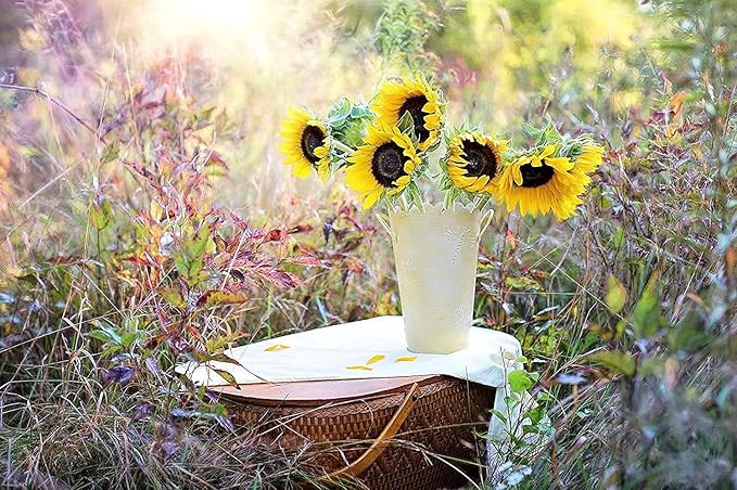 Set of 25 Flower Seed Packets - Flower Seeds in Bulk - 15 or More Varieties Available - Great for Creating Colorful Gardens (25)