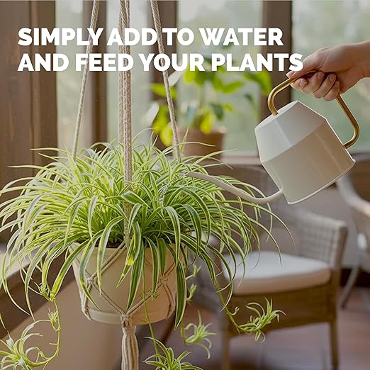 Spider Plant Fertilizer – Liquid Plant Food for Longer Runners, Greener Leaves & Healthy New Growth, 8 oz