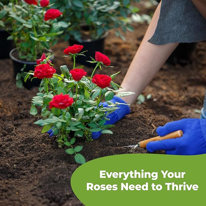 Specialty Rose Planting Mix by Perfect Plants | Premium Nutrients for Flowering Roses Such as Drift, Knockout, and Heirloom (4qt)