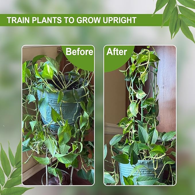 Plant Support Stakes for Indoor Plants,Trellis for House Potted Plants Flower,Monstera Support Sticks with Orchid Clips,Twist Ties(2 Pack Dark Green)