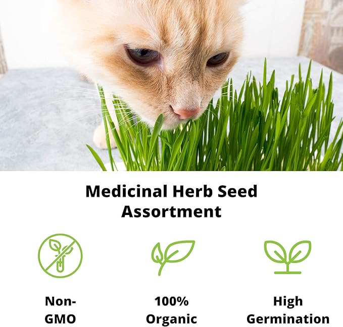 Organic Cat Grass Seeds Kit - Decorative Reclaimed Barnwood Style Organic Wheatgrass Seeds Planter - Aged Brown - Hairball Remedy for Cats, Healthy Pet Grass Supplement & Wheatgrass Growing Kit