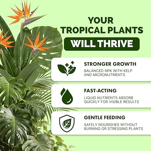 Tropical Plant Fertilizer – Liquid Plant Food for Bigger Leaves, Lush Growth & Stronger Roots, 32 oz