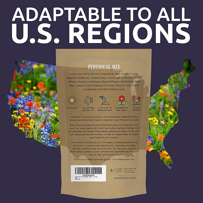 Perennial Wildflower Seeds Mixture - Bulk 1/4 Pound Bag - Over 60,000 Pure Live Seed - Open Pollinated and Non GMO