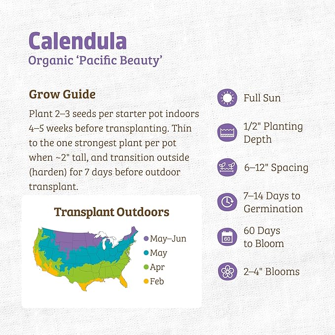 Back to The Roots 100% Organic Seed Packet - Calendula 'Pacific Beauty' 300mg