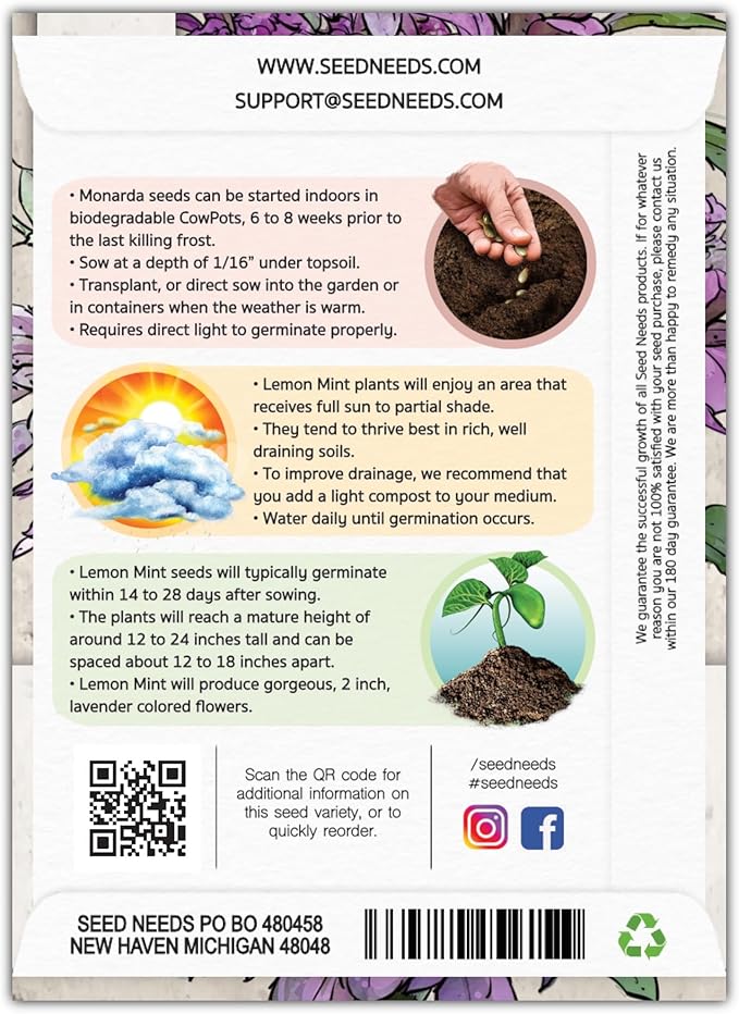 Seed Needs Lemon Mint Seeds for Planting Monarda citriodora Herbs - Grow a Non-GMO Heirloom & Untreated Medicinal Herb Garden Indoors or Outdoors - Popular in Herbal Tea (2 Packs)